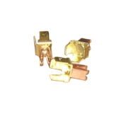 Terminal Assembly