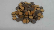 SPL II PLUG  BAG 100